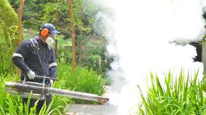 Best Mosquito Control  in Aventura, FL